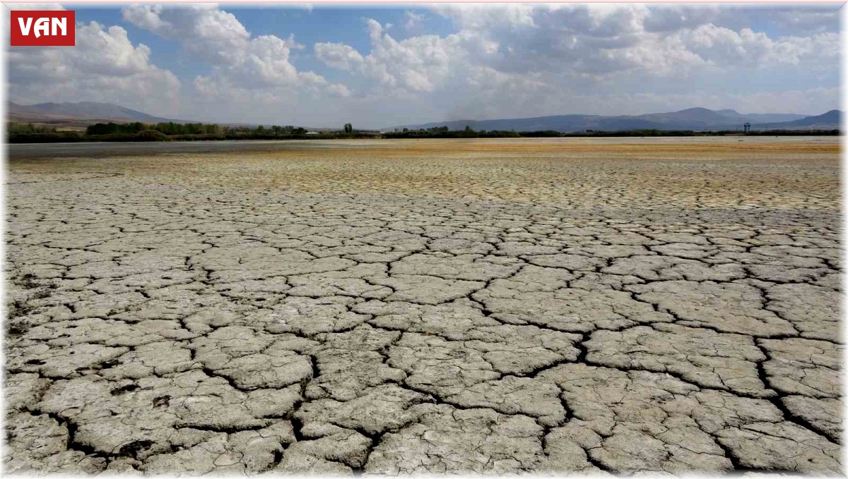 Kuş cenneti Erçek Gölü'nün kıyı şeridi buhar oldu