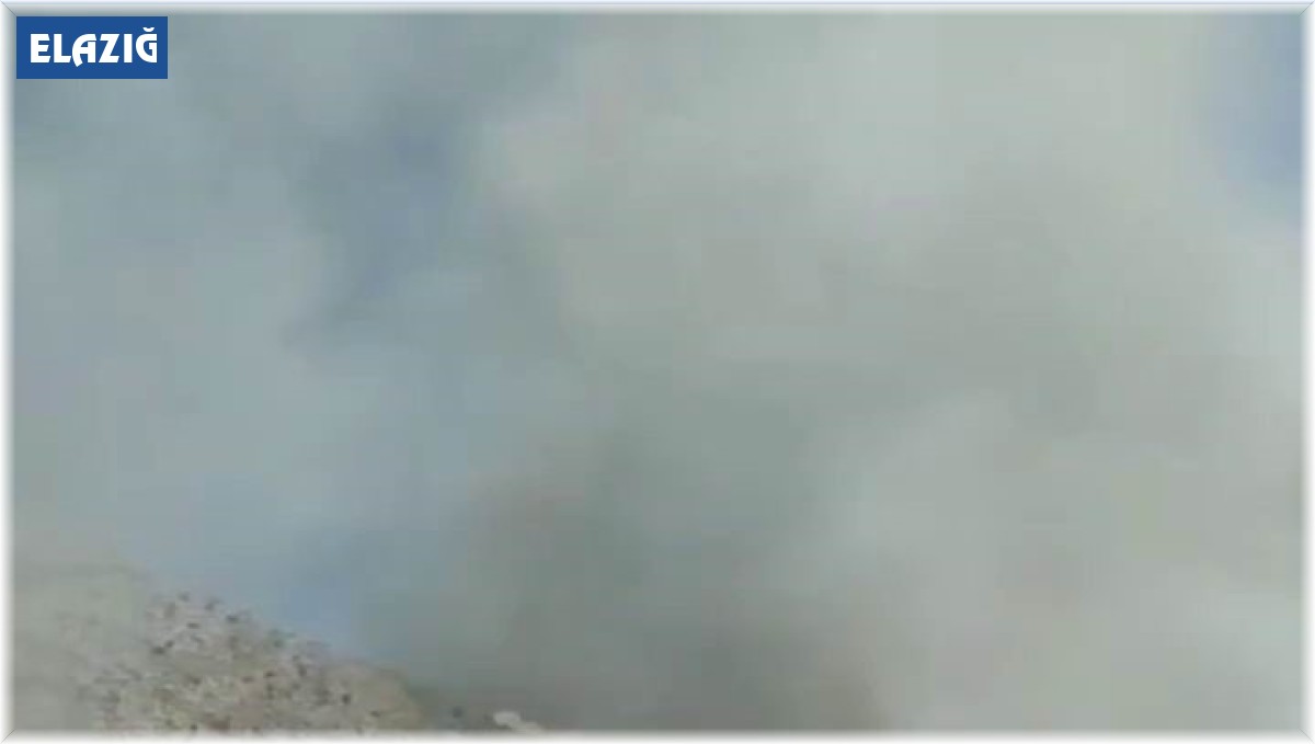 Kuşlar elektrik tellerine çarptı, kıvılcımlar yangına neden oldu