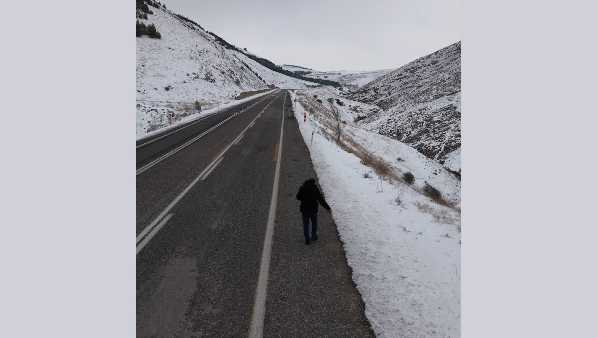 Kuşlar için yol kenarlarına buğday serptiler