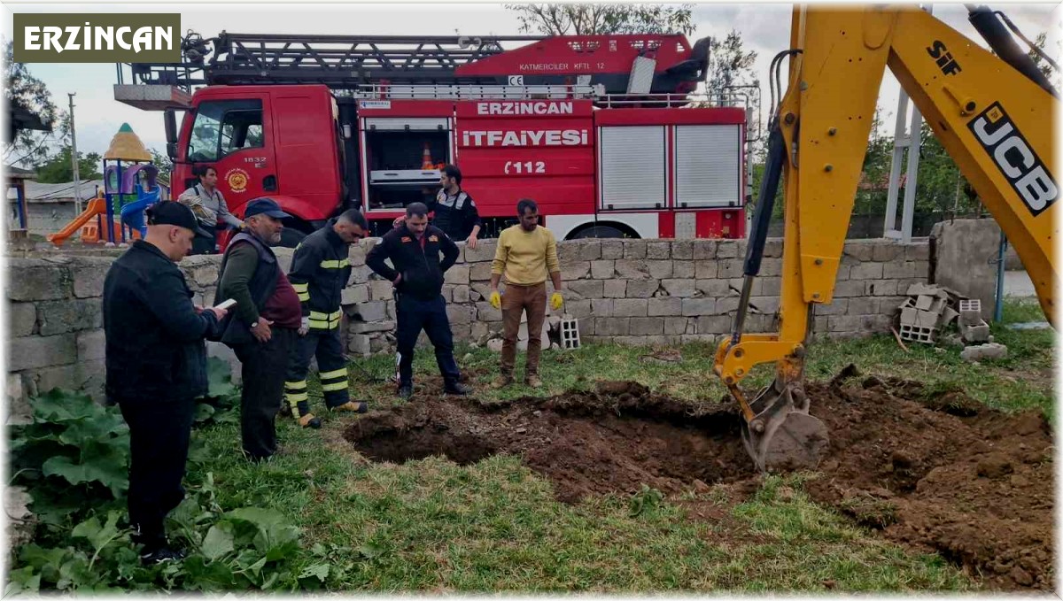 Kuyuya düşen inek kurtarıldı