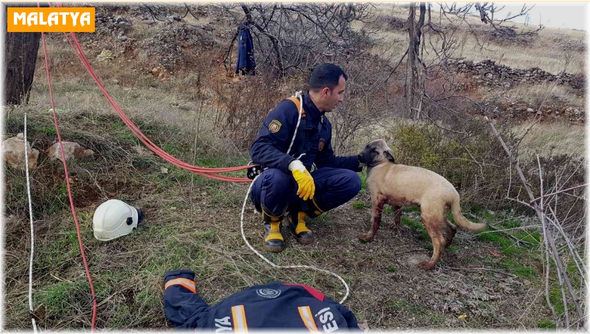 Kuyuya düşen köpek için zamanla yarıştılar