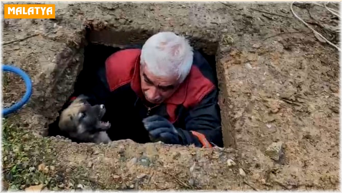 Kuyuya düşen köpek kurtarıldı