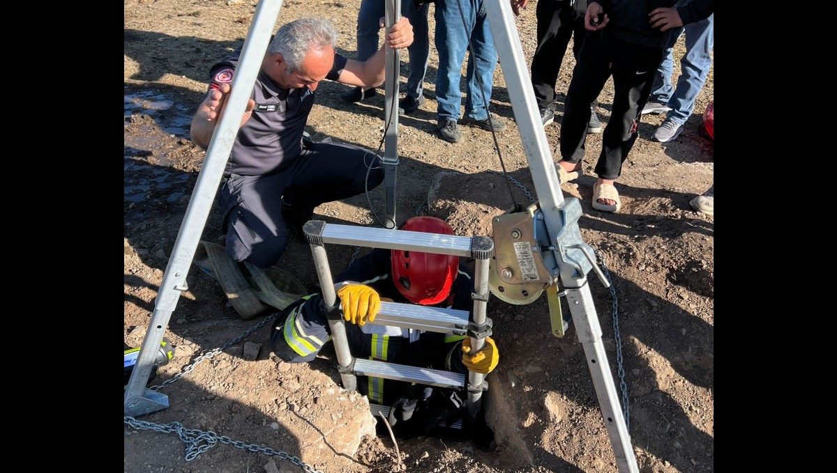 Kuyuya düşen koyunu kurtardılar