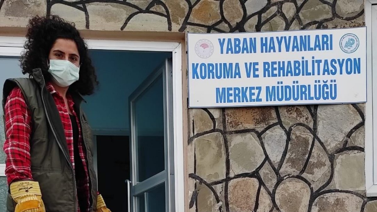 Kuyuya düşen tilki tedavi altına alındı