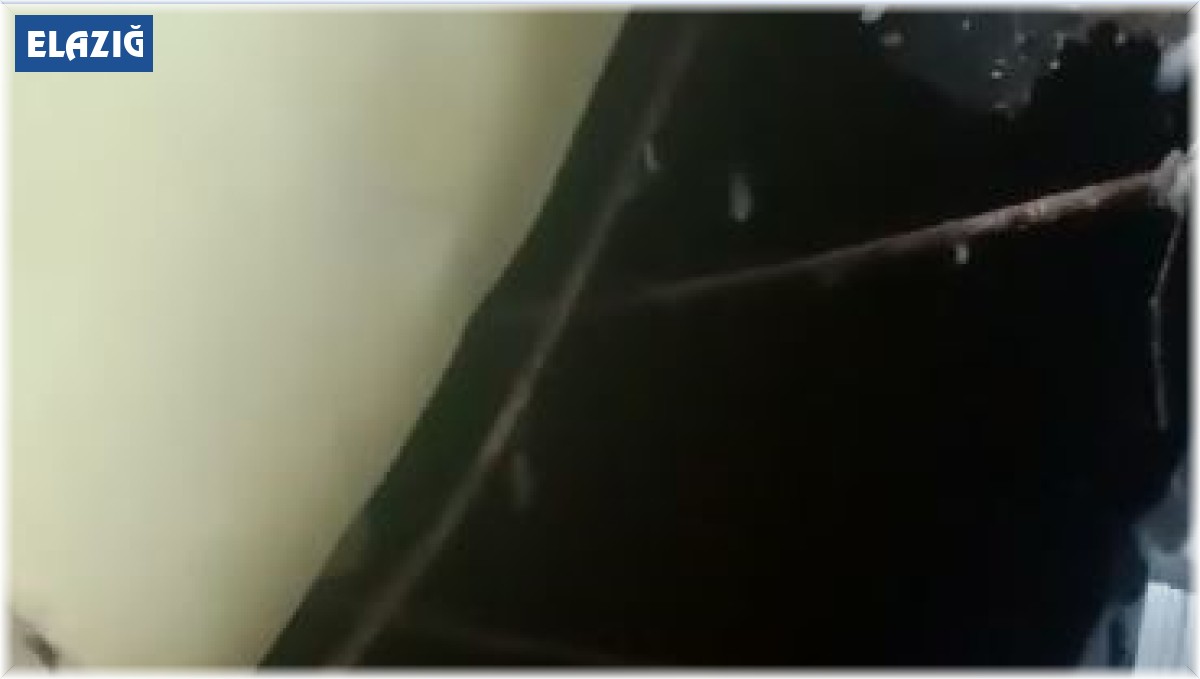 Kuyuya düşen yavru kediyi itfaiye ekipleri kurtardı