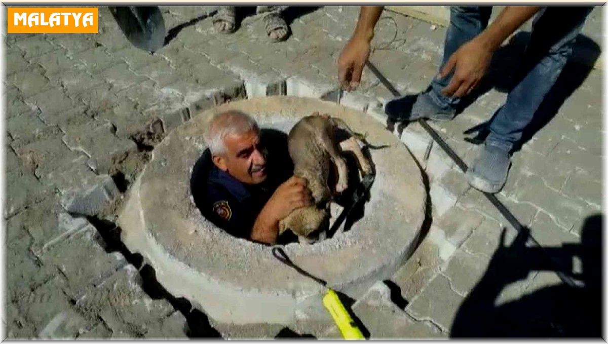 Kuyuya düşen yavru köpek kurtarıldı