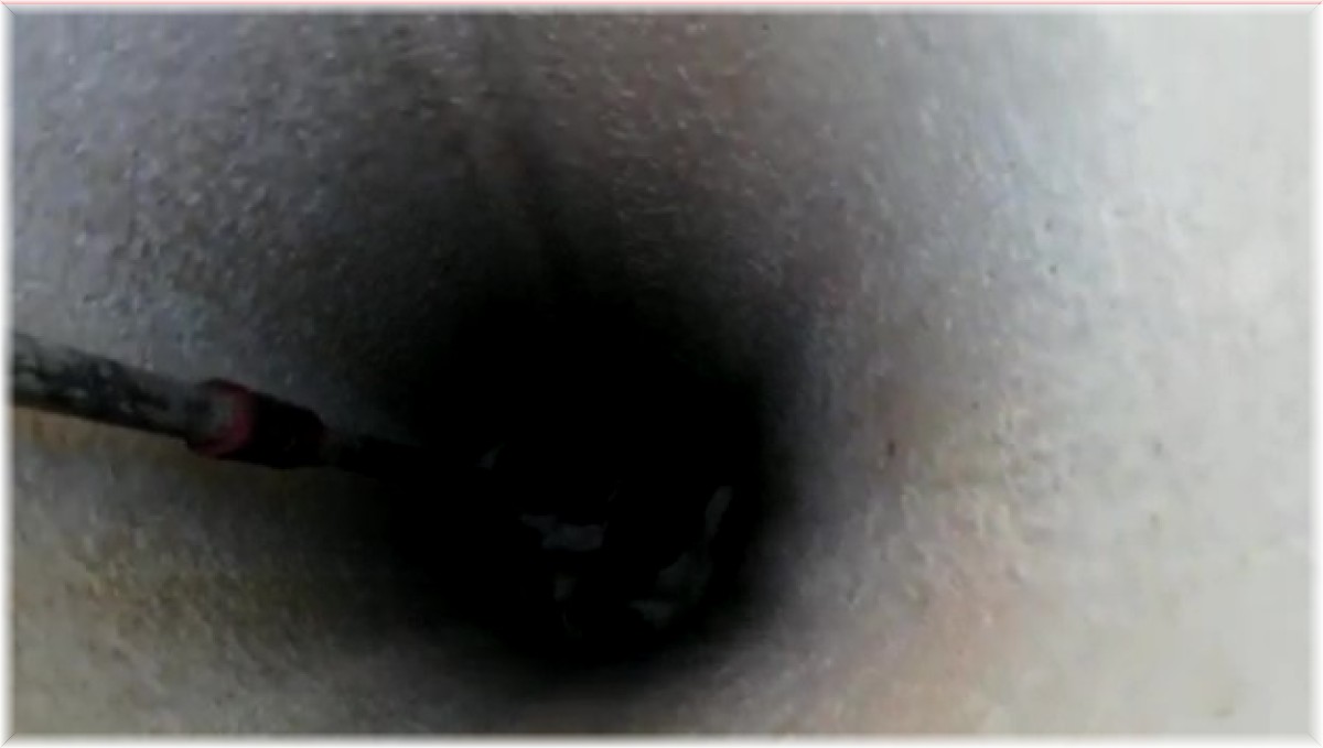 Kuyuya düşen yavru köpekler kurtarıldı