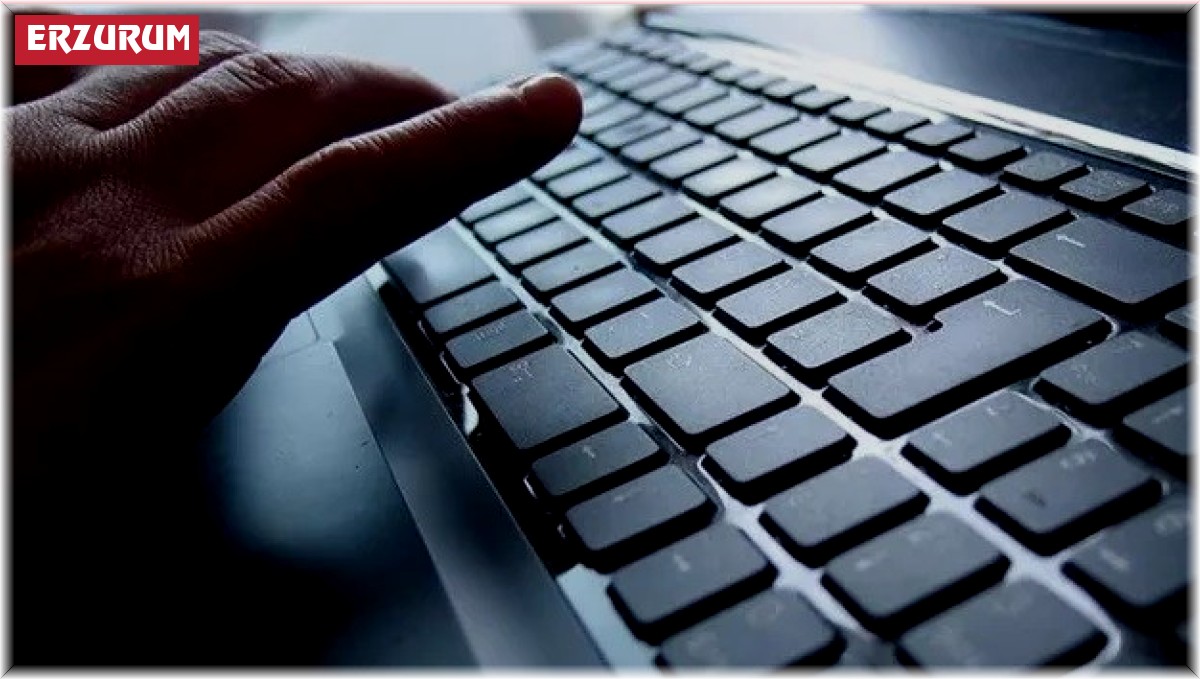 Kuzeydoğu Anadolu internet erişim oranları açıklandı