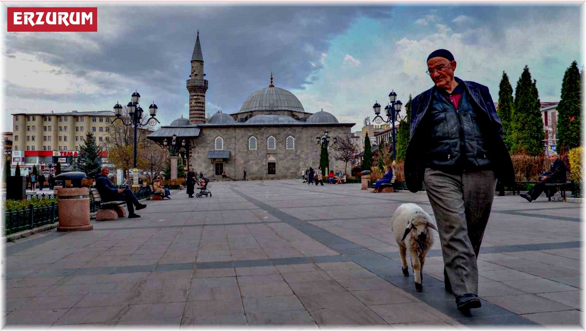 'Kuzulu Dede' kuzusuyla cadde turunda