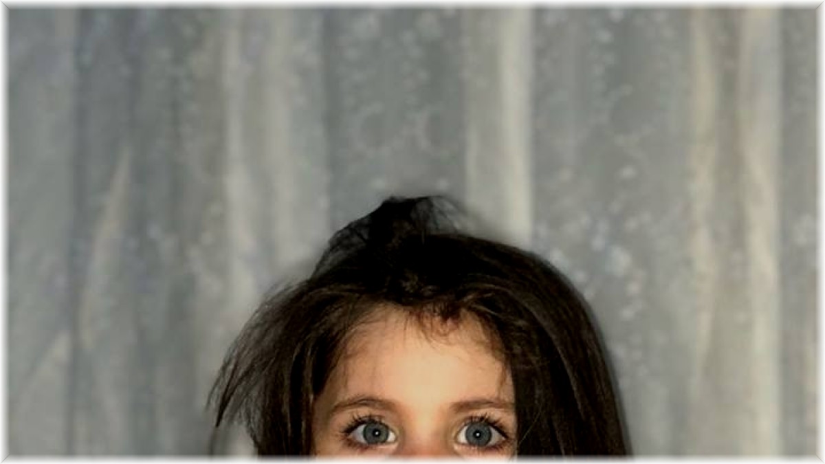 Leyla Aydemir davasında 7 sanığın beraatine karar verildi