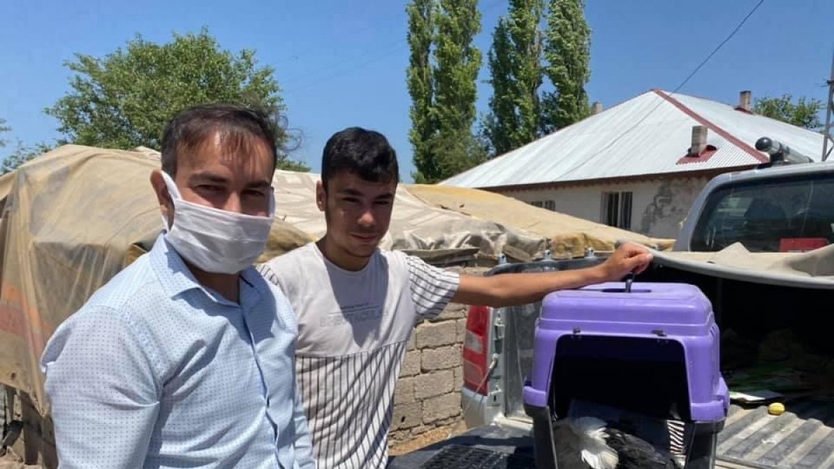 Leylek ve Ebabil kuşu tedavi altına alındı