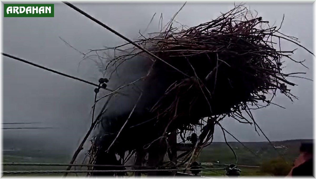 Leylek yuvasında yangın çıktı