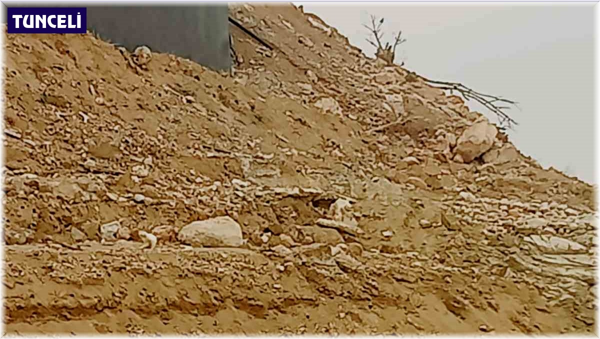 Leylekler mevsimleri karıştırdı