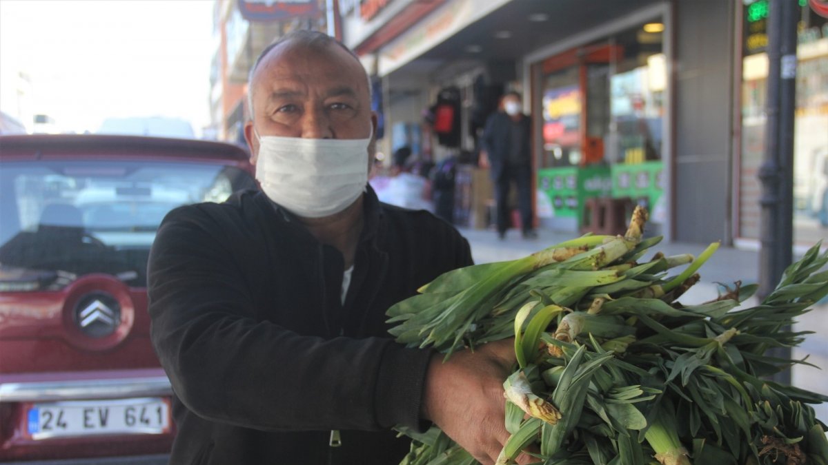 Lezzet ve şifa deposu çiriş otu tezgahlarda yerini aldı
