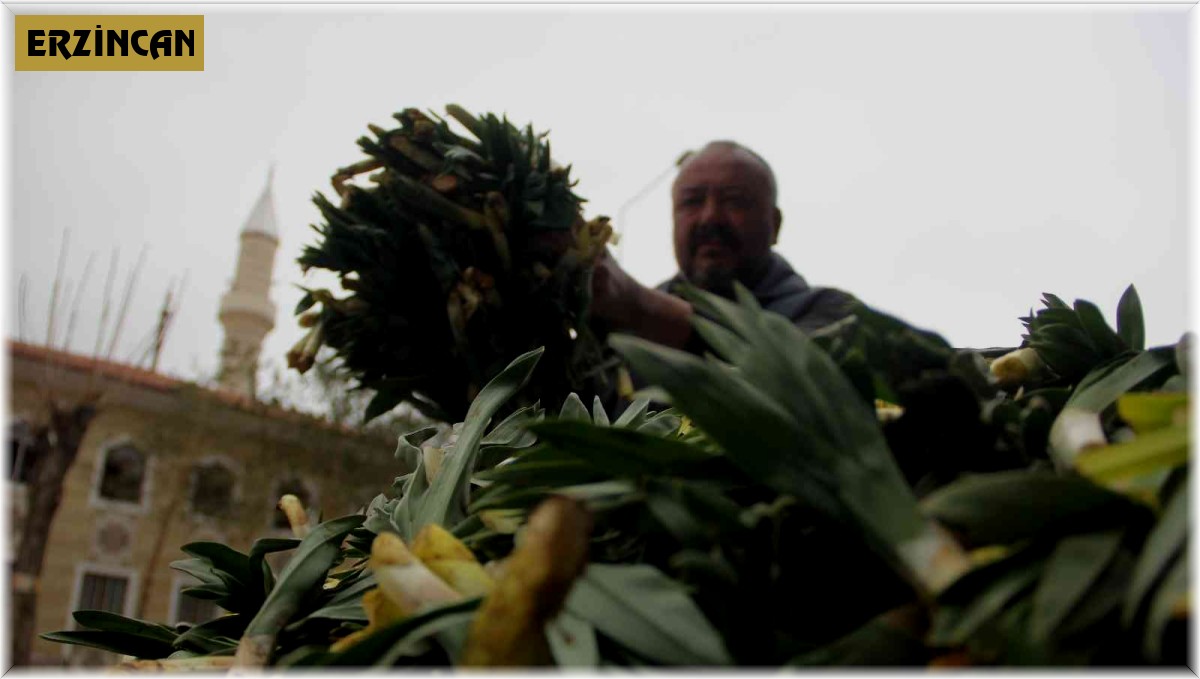 Lezzet ve şifa deposu yabani pırasa tezgâhlarda yerini aldı