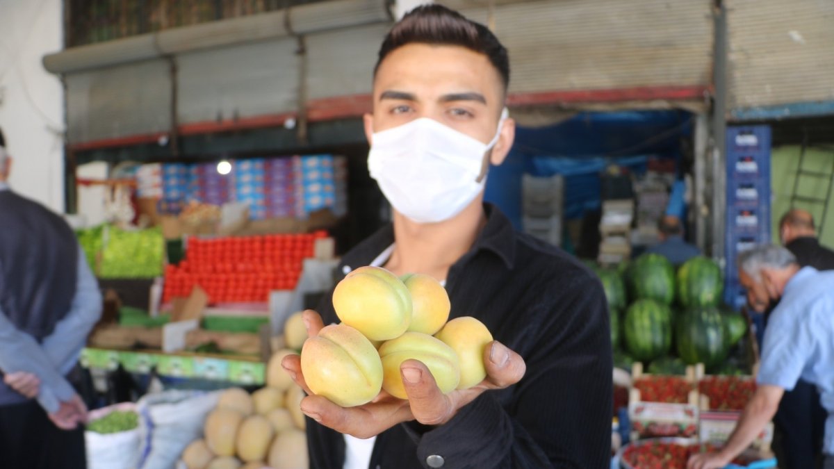 Lezzeti ve ünü ülke sınırlarını aşan Malatya kayısısı tezgaha indi