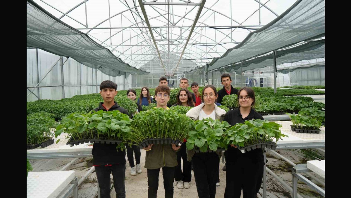 Lise öğrencileri 1 milyon fide üretimi hedefliyor