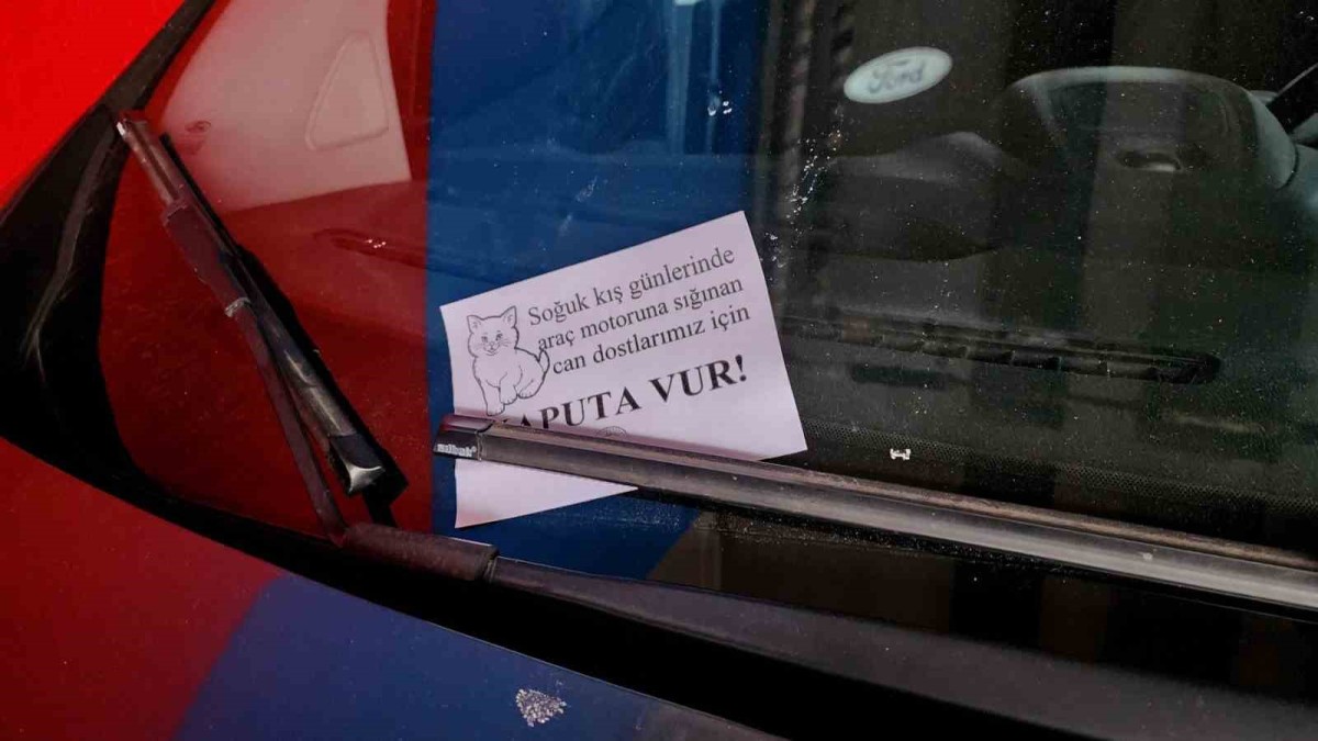 Lise öğrencileri 'Kaputa Vur' farkındalık eğitimi gerçekleştirdi