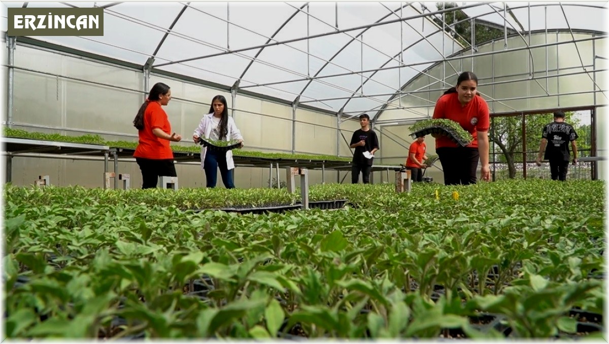 Liselilerin serada yetiştirdiği sebzeler sofrada