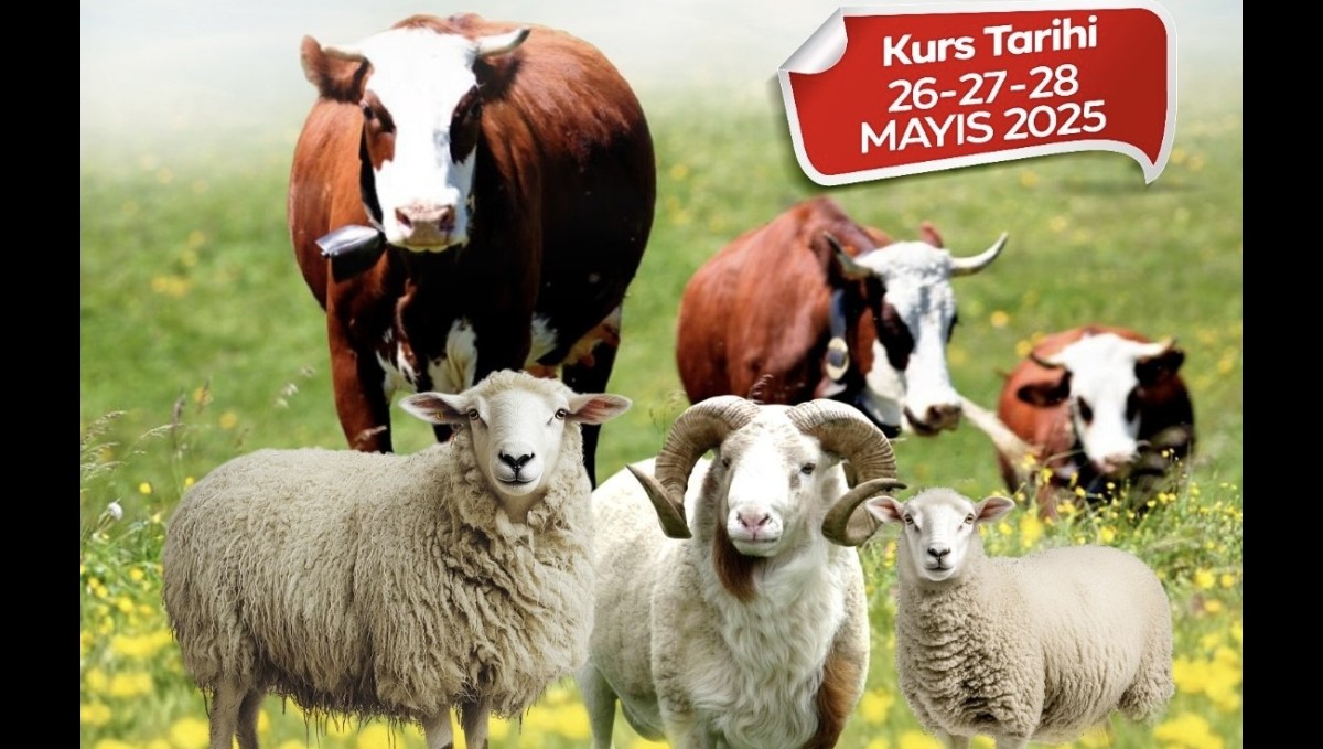 Malatya Büyükşehir Belediyesi'nden kurban kesim kursu