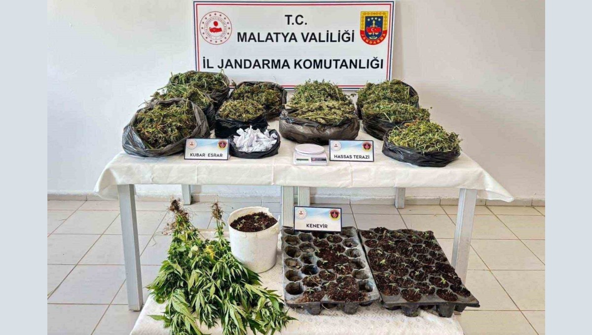 Malatya'da 13 kilo esrar ele geçirildi: 5 şahıs tutuklandı