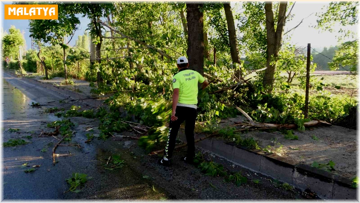 Malatya'da 15 dakikalık fırtına ağaçları devirdi