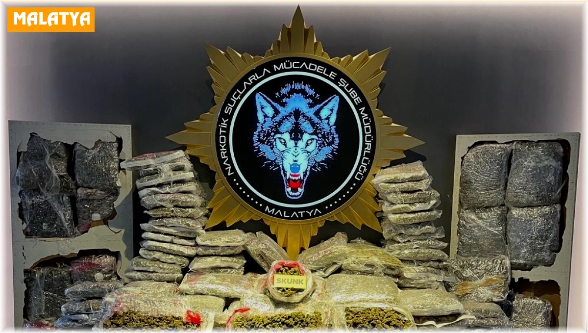 Malatya'da 372 kilo skunk ele geçirildi