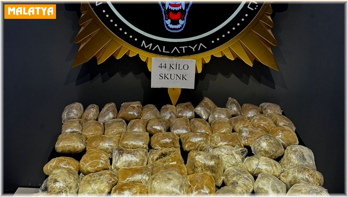 Malatya'da 44 kilogram skunk ele geçirildi