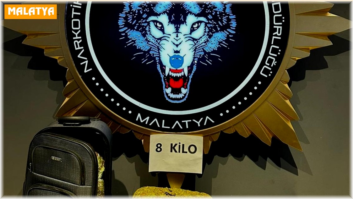 Malatya'da 8 kilo skunk ele geçirildi
