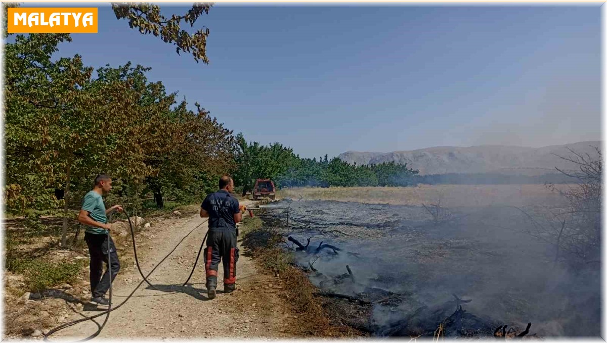 Malatya'da anız ve bahçe yangınları