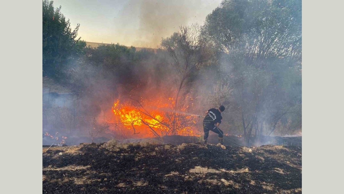 Malatya'da anız yangınında 50 dönümlük arazi zarar gördü