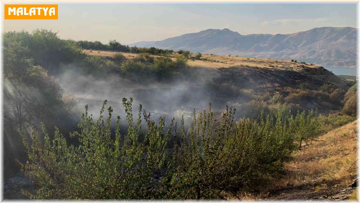 Malatya'da anız yangınında kayısı ağaçları zarar gördü