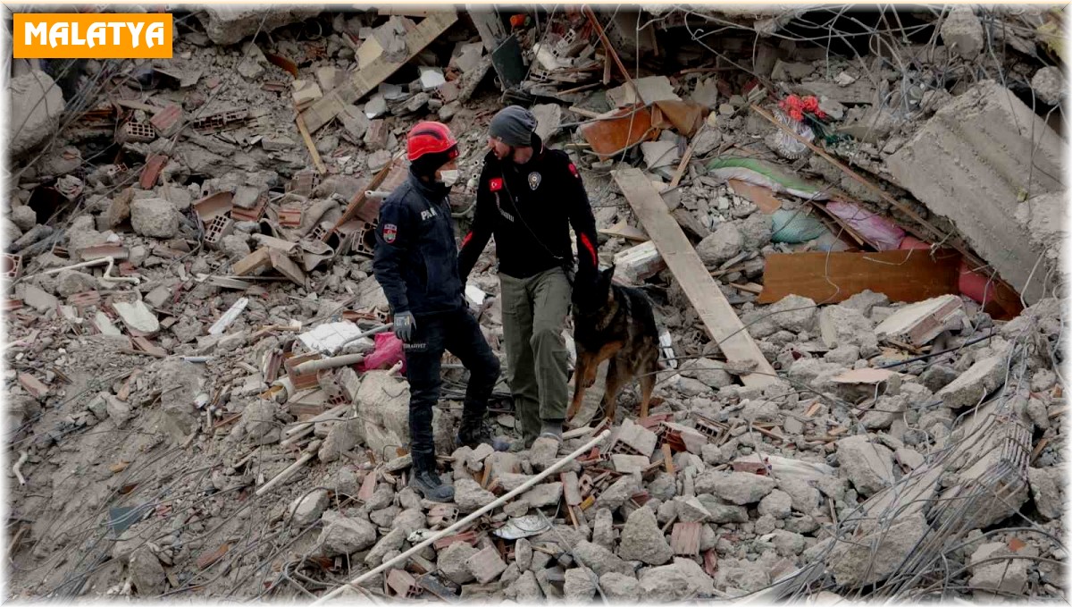 Malatya'da arama kurtarma köpekleri devrede
