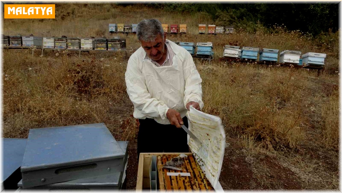 Malatya'da bal hasadı tamamlandı