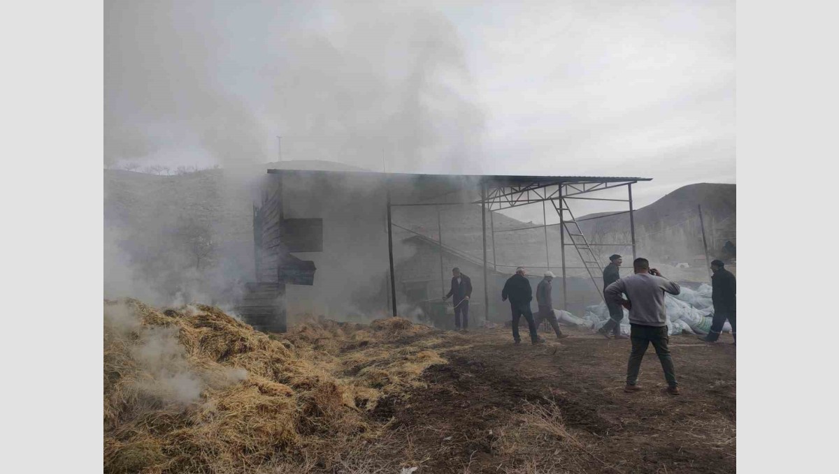 Malatya'da besi çiftliğinde yangın