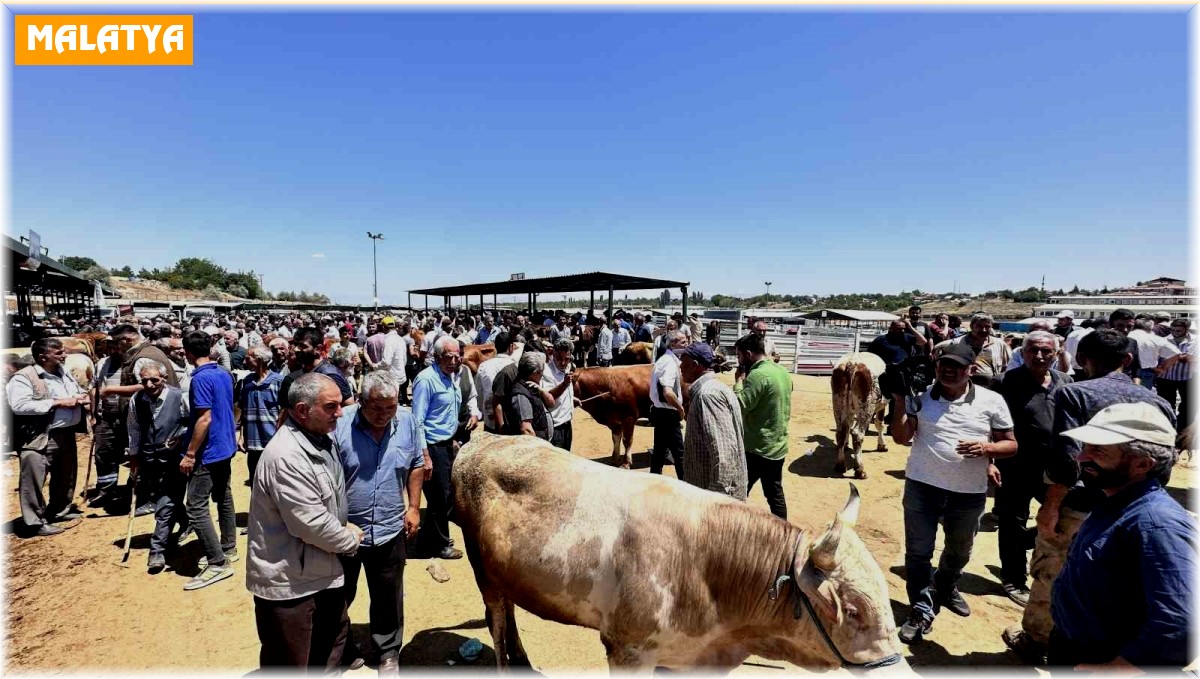 Malatya'da canlı Hayvan Pazarı'nda Arife günü yoğunluğu