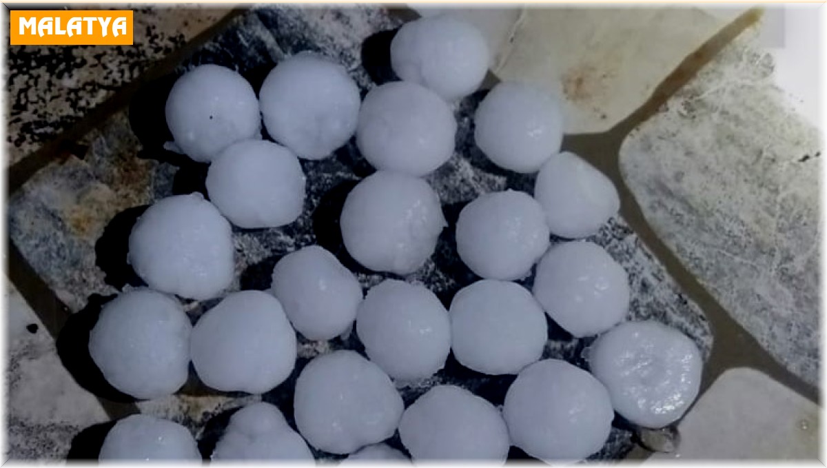 Malatya'da dolu yağışı kayısı bahçelerine zarar verdi