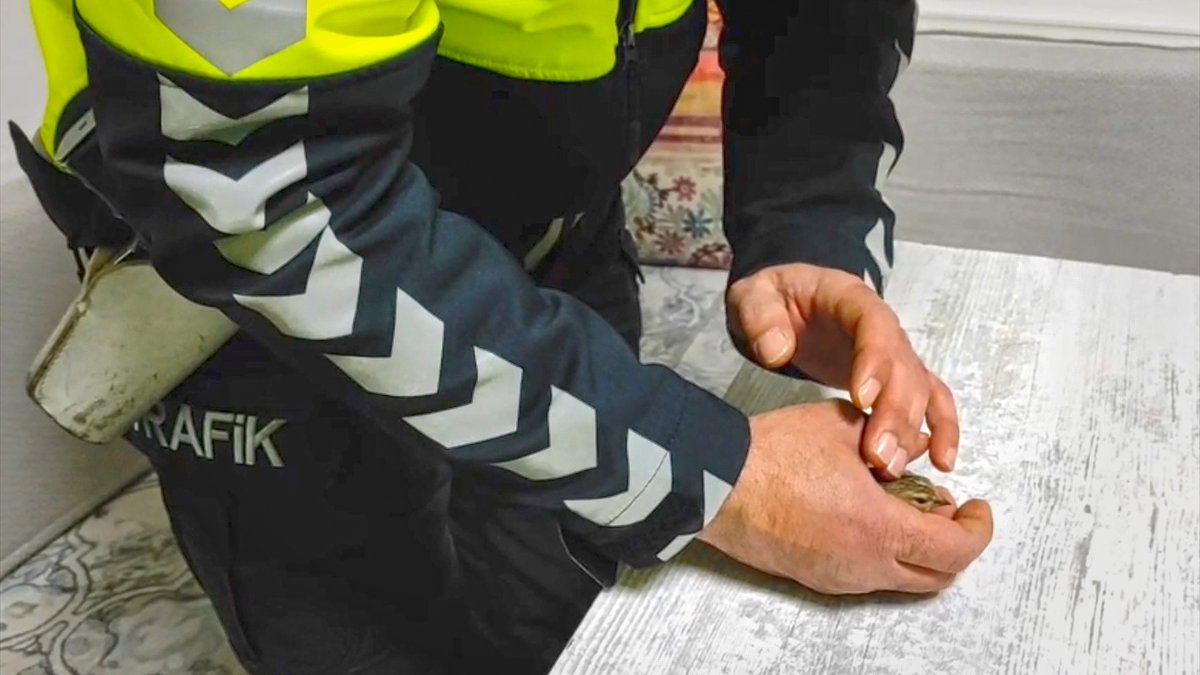 Malatya'da donmak üzere olan serçeye polisten şefkat eli