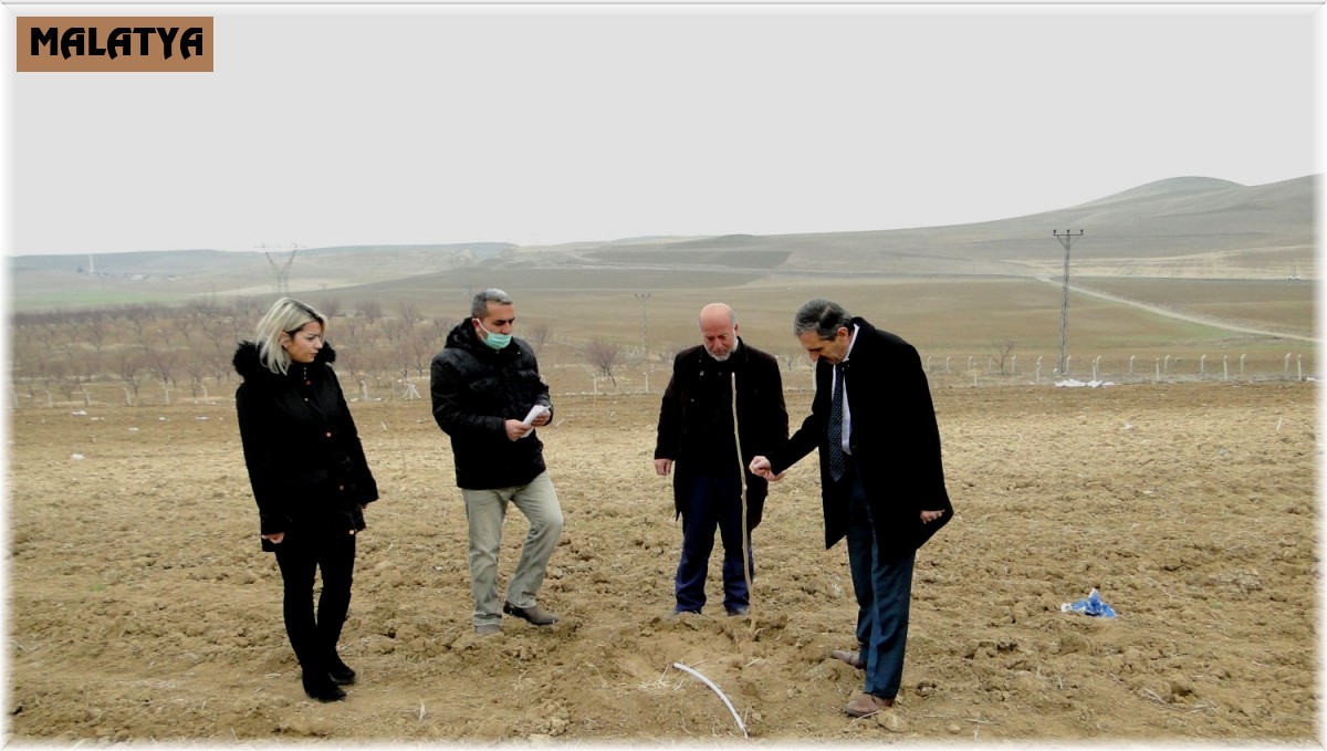 Malatya'da dut üretimi yaygınlaşıyor