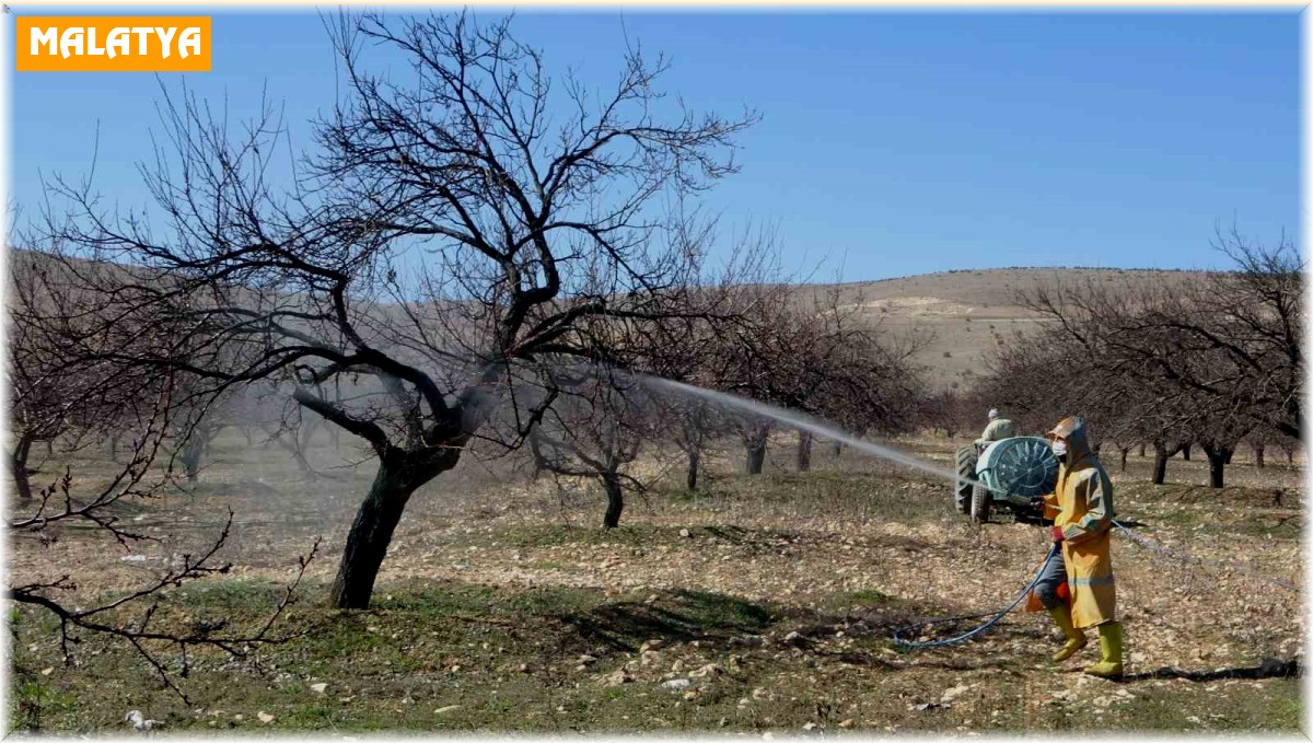Malatya'da erken tomurcuklanan kayısı ağaçları endişelendirdi
