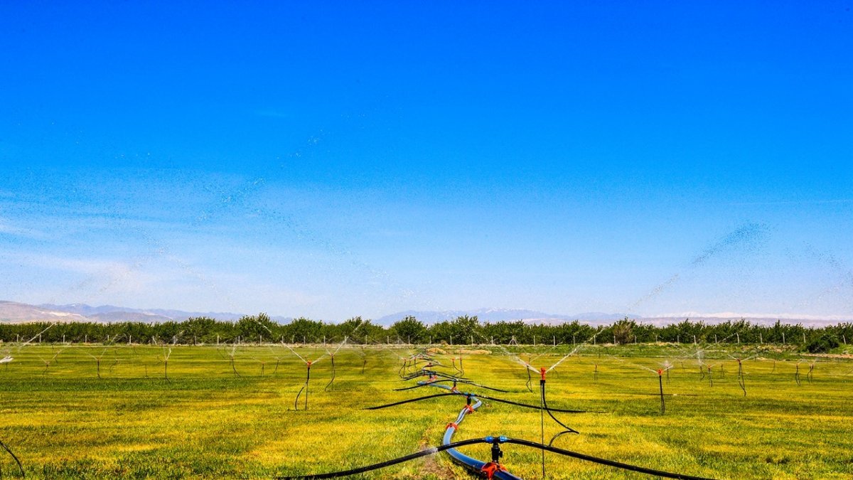 Malatya'da fidan üretim merkezi kurdu