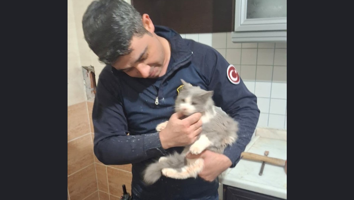 Malatya'da havalandırma boşluğuna düşen kedi kurtarıldı