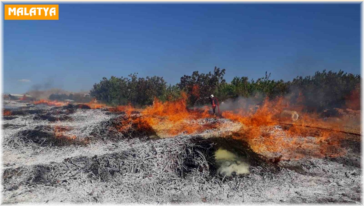 Malatya'da iki ayrı noktada çıkan yangın korkuttu