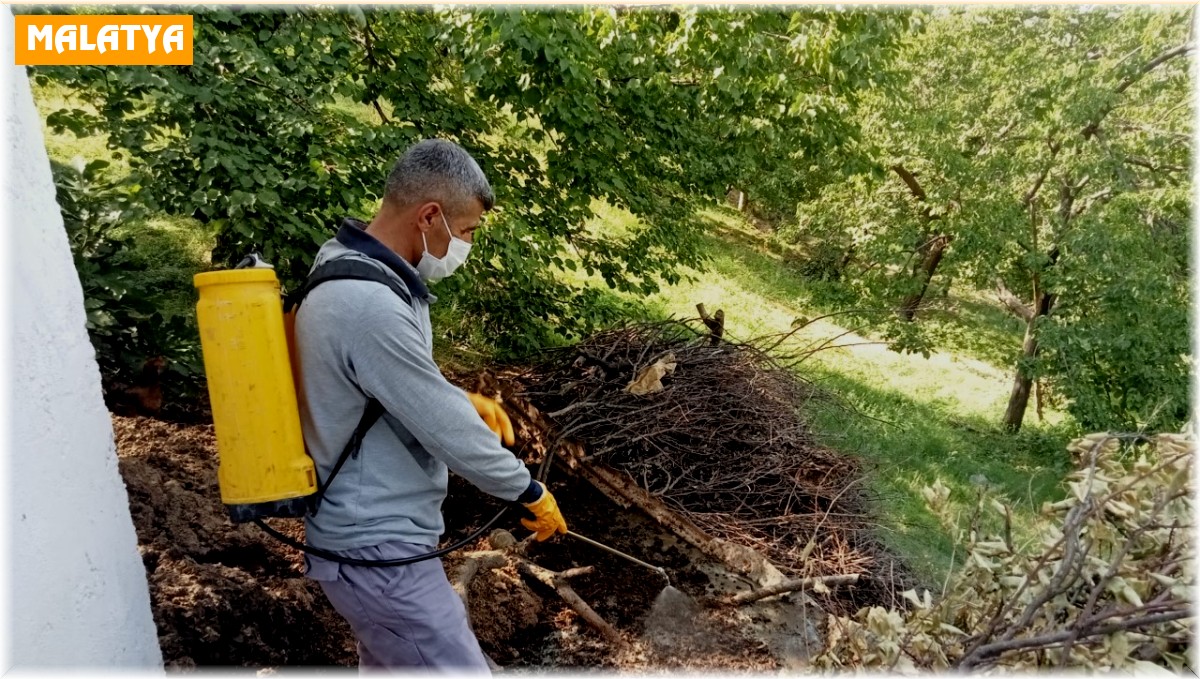 Malatya'da ilaçlama çalışmaları sürüyor