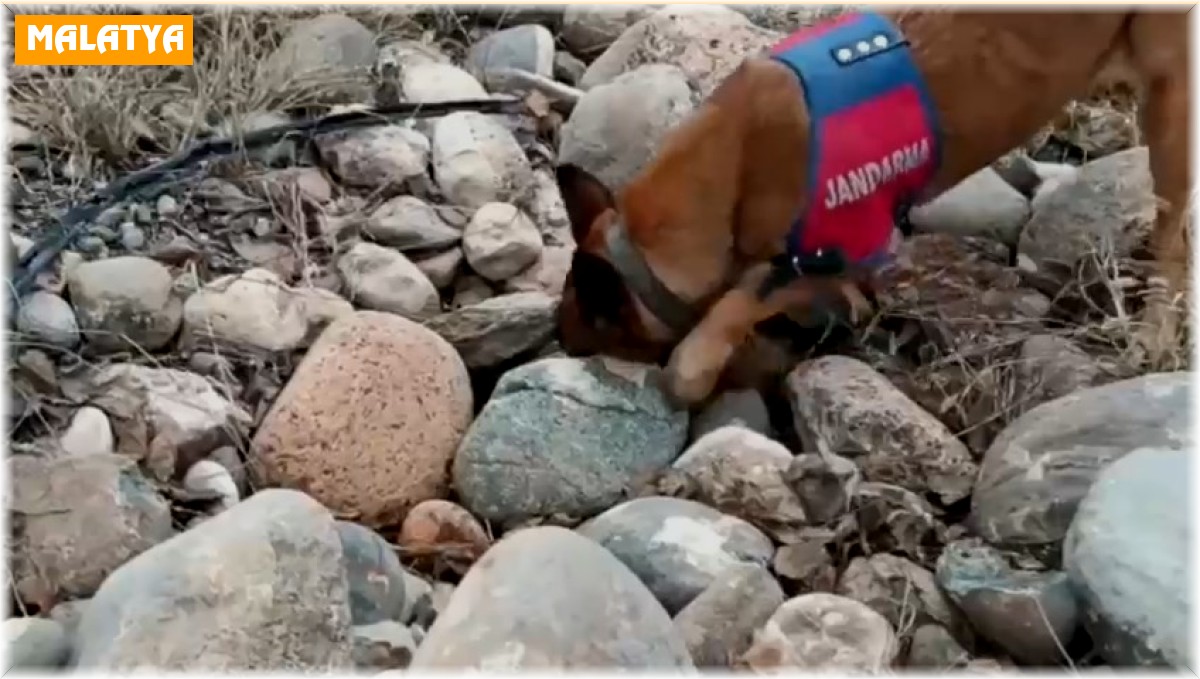 Malatya'da Jandarmadan dron destekli uyuşturucu operasyonu