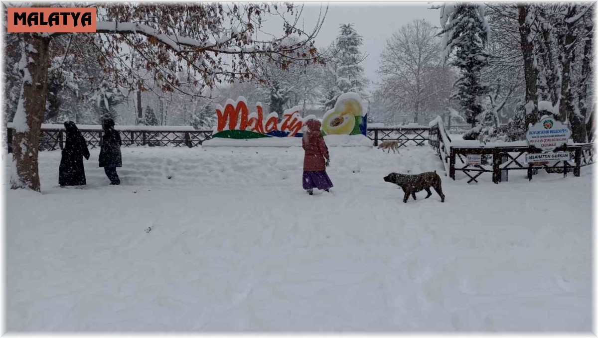 Malatya'da kar yağışı kartpostallık görüntüler oluşturdu