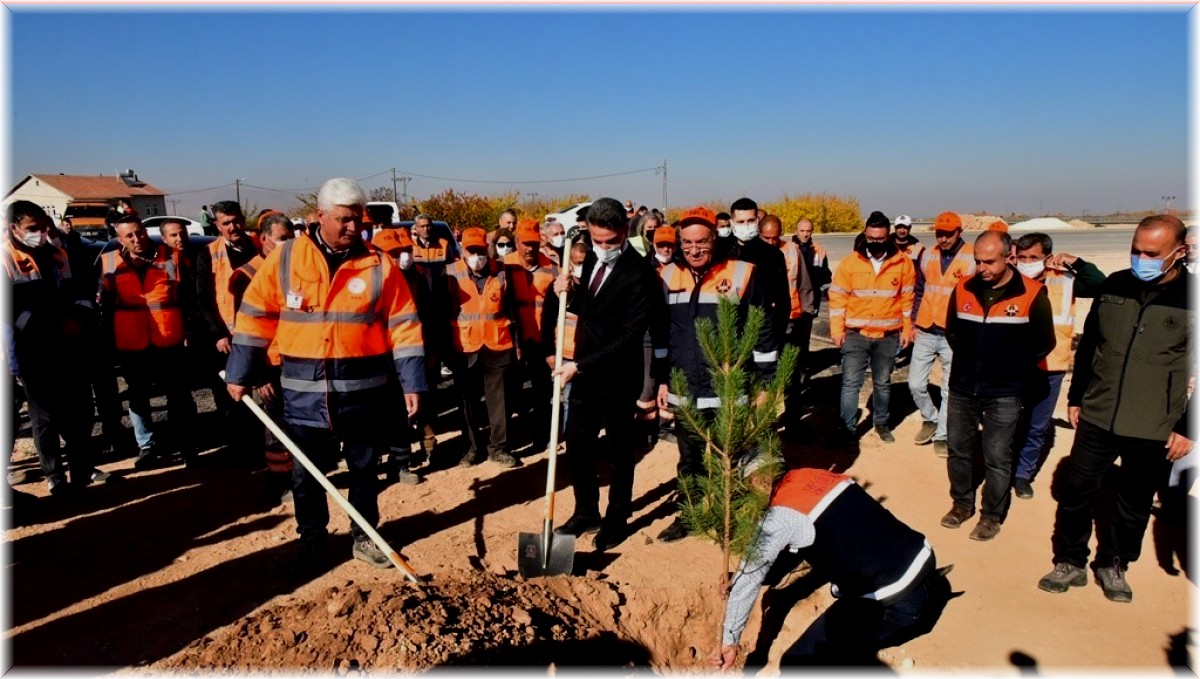 Malatya'da karayollarına ve kavşaklara fidan dikildi