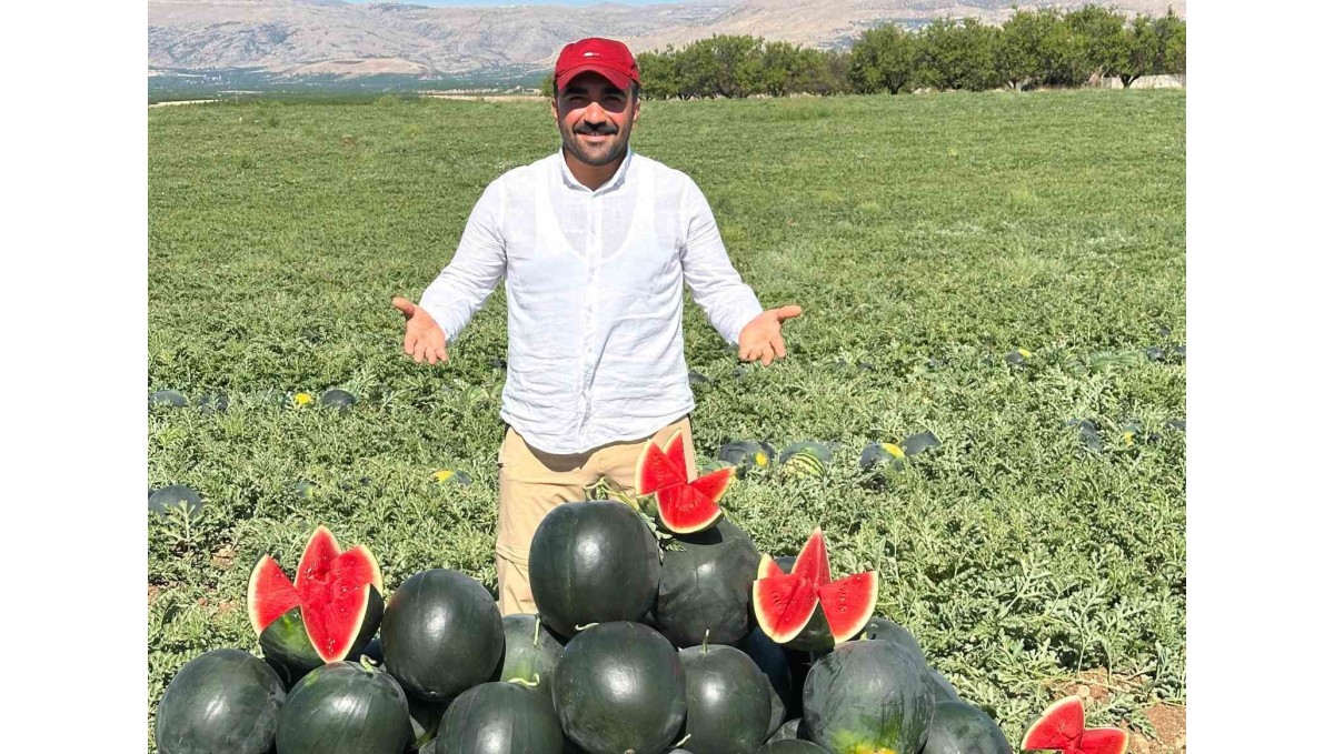 Malatya'da karpuz ve kavun hasadı yüz güldürüyor