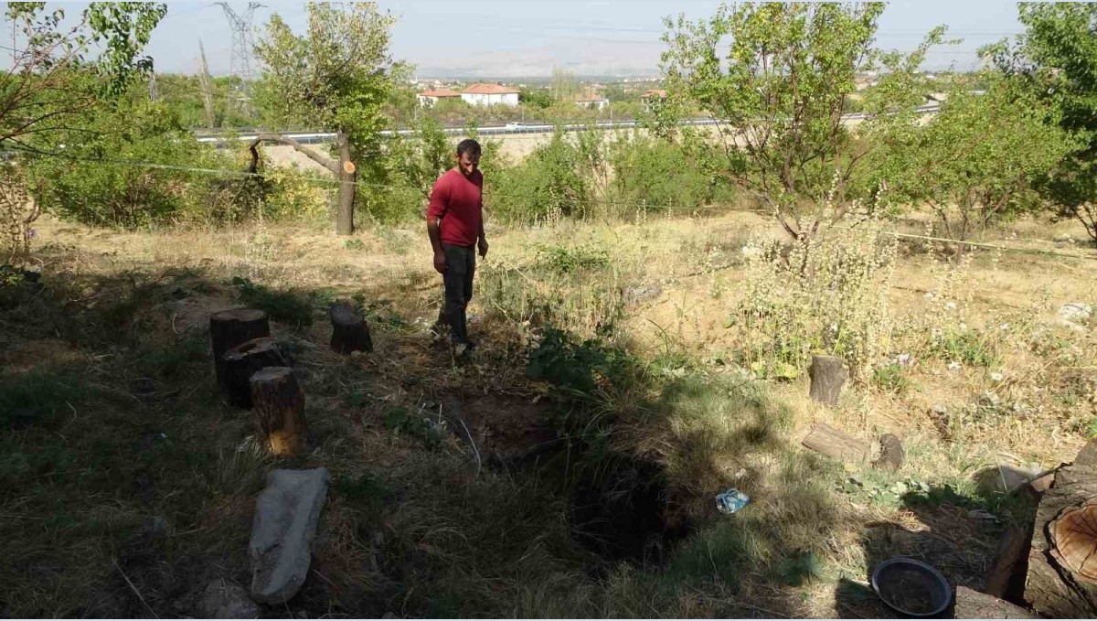 Malatya'da kayısı bahçesinde obruk oluştu