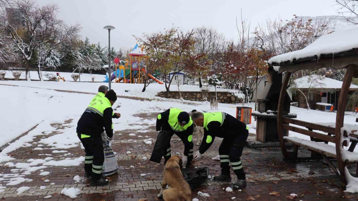 Malatya'da kış şartlarında sokak ve yaban hayvanları unutulmadı